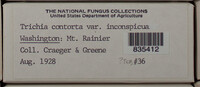 Image Associated With the Occurence